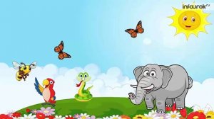 Царство Животные