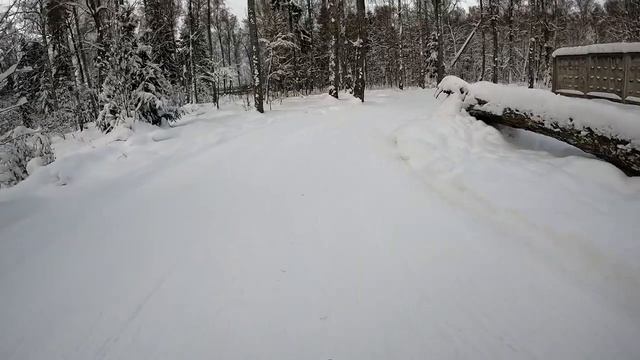 Покатушка на фэтбайке по зимнему лесу и городку.  Испытываем GoPro 10. 23 декабря 2021 года.