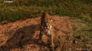 Far Cry 6 All Animals Attack & Bite Animations