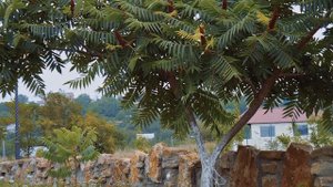 Храмовый комплекс Петра и Павла Ессентуки