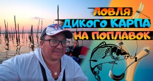 Рыбалка на поплавок с лодки. Рыбалка на карпа. Рыбалка с ночевкой.fishing.  карпфишинг