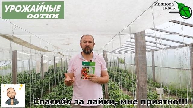 Подкормка на вкусный урожай! Какая нужна и нужна ли? Кормим!