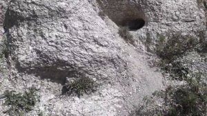 Отдыхаем на р.ЗИЛИМ. д.Акташево, Гафурийский район, Башкортостан.  Белые скалы. Красиво!!!!