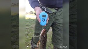 Рыбалка на реке Ипуть