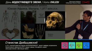 Homo naledi. День недостающего звена