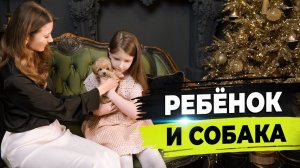 Как выбрать щенка для ребенка. Ребенок и мальтипу.