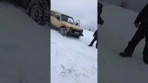 Нива на сафарях