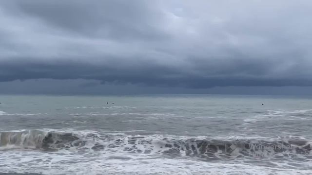 VLOG:ПОСЛЕДНИЙ ДЕНЬ В ЛАЗАРЕВСКОМ/ОТПРАВЛЯЕМСЯ ДОМОЙ/ЖД ВОКЗАЛ ЛАЗАРЕВСКОЕ. смотреть онлайн