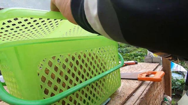 БРОЙЛЕР смотреть онлайн