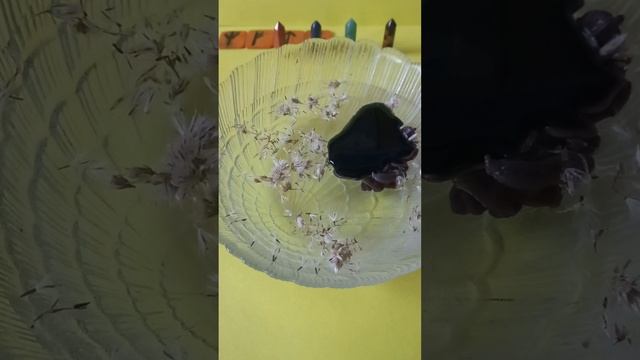 Для моих подпищиков снимаем сущности кладбищенскую. смотреть онлайн