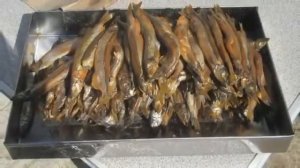 7 Бизнес идей с минимальными вложениями в гараже