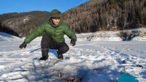 Зимняя рыбалка на заливах СШВДХ. Кантегирский залив. Окунь на балансир.