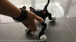 Spin Master Zoomer Kitty - Test français