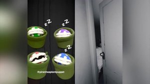 Piranhaa Plants getting SCARED for 10 minutes straight
