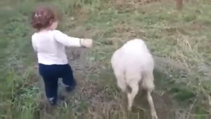 Смешной козел