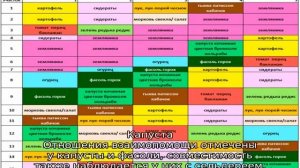С чем можно сажать фасоль на одной грядке