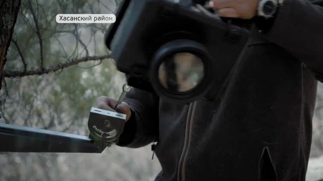 Диких кошек будут отлавливать с помощью фотоловушек смотреть онлайн