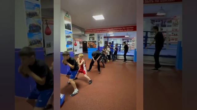 тренировка боксёров смотреть онлайн