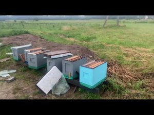 последствия урагана