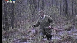 Охоту в Ивановской области научно обоснуют