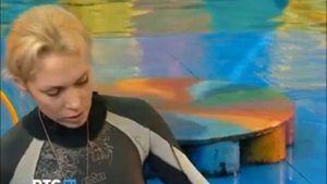 Дрессированные моржи, это интересно