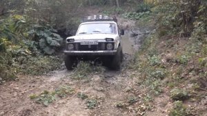 Нива на сафарях 510