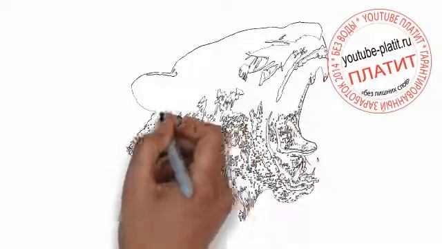 Как нарисовать голодную пантеру поэтапно карандашом смотреть онлайн