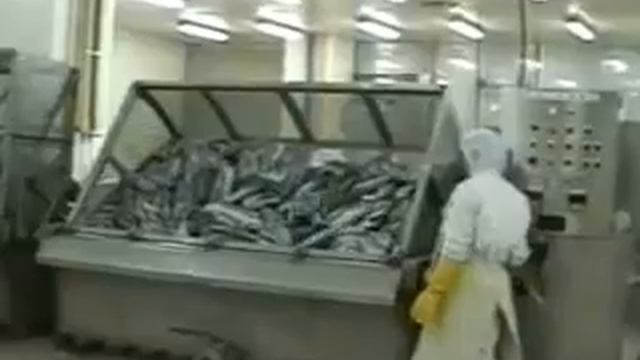 Водяной дефростер для разморозки рыбы и мяса. Быстрая дефростация от 1 часа смотреть онлайн