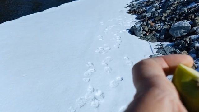 23 04 2023 рыбалка на реке Мана смотреть онлайн