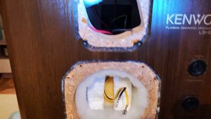 Полный обзор Kenwood LS-990HG в сравнении по НЧ с Pioneer S-180D и другими моделями