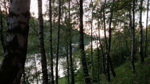 VID_20230613_201656.mp4