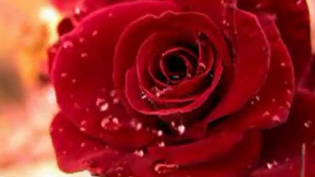 С_ДНЕМ_РОЖДЕНИЯ_МУЗЫКАЛЬНАЯ_ОТКРЫТКА_ПОЗДРАВЛЕНИЕ.mp4