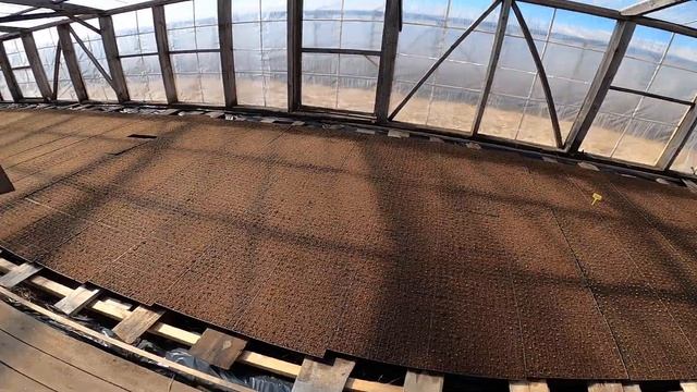 Всходы ранней капусты Сир, Ринда смотреть онлайн