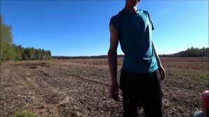 КАК МЫ В ФИНЛЯНДИИ ЛЕС САЖАЛИ / РАБОТА В ФИНЛЯНДИИ