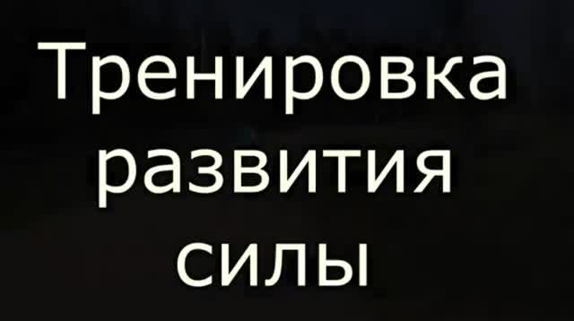 Тренировка развития силы лыжников