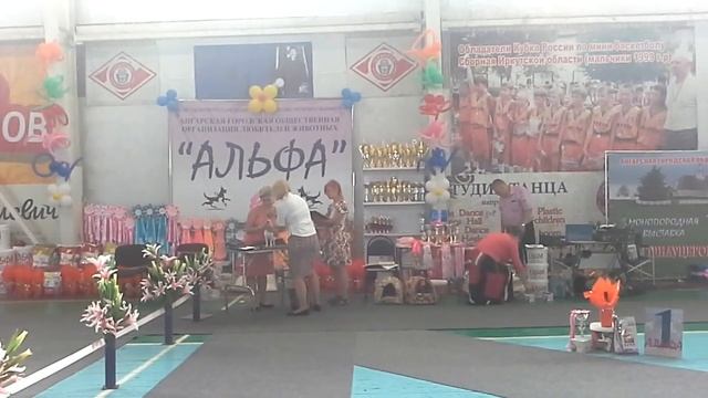 6 августа 2016 г. моно .чихуахуа Ангарск " Альфа" смотреть онлайн