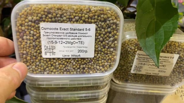 Выставка- ярмарка "ОСЕННЯЯ ФЛОРА" с 5 по 9 сентября. СПб, ТЦ «Фоум», Ст.метро «Кировский завод» смотреть онлайн