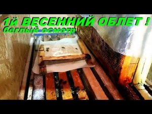 Ура! 1 й Весенний облет 14.02.2024г.