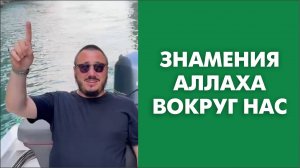 Знамения Аллаха вокруг нас