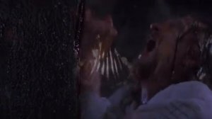 Алая буква. США. 1995г.