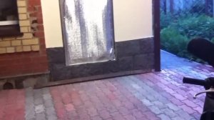 Как покупать б/у скутер на примере Дио