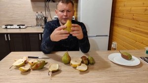 Обзор сортов груши Просто Мария, Яковлевская, Платоновская, Ника, Мраморная, Лира.