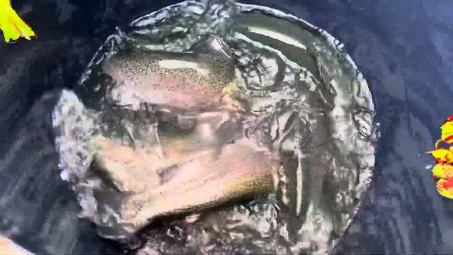 Навеска 4+ смотреть онлайн