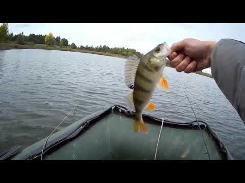Окуни на ультралайт на озере Андреевское Тюмень сентябрь 2020 #NIK_72 смотреть онлайн