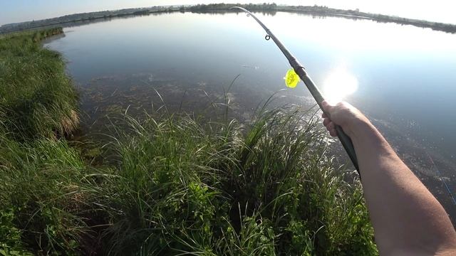 Ловля Карася на УДОЧКУ. Рыбалка на ОЗЕРЕ. Летняя Рыбалка 2023 смотреть онлайн
