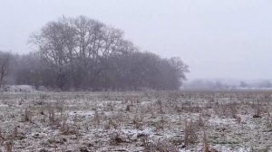 Relaxing snow falling and wind blowing sounds in a winter landscape 2022 звуки зимы