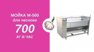 Польская мойка-чистка для ЧЕСНОКА и других корнеплодов 700 кг в час