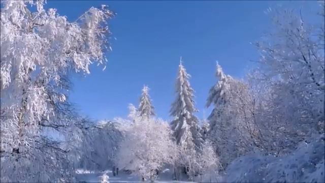 ПРОРОЧЕСКОЕ СЛОВО / ВРЕМЯ ЖАТВЫ НАСТУПИЛО