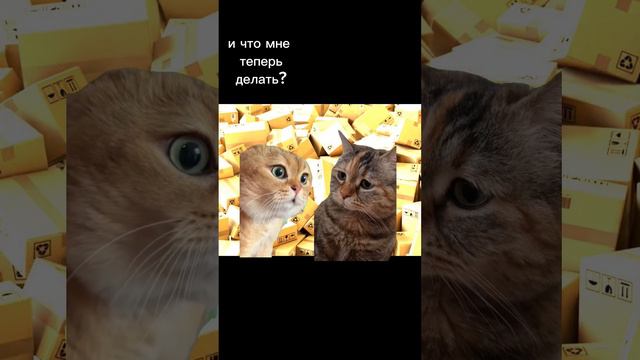 #чтоделать #посылкаболь #посылкитеряют #транспортныекомпании #тк #посылка #гдепосылка #потеря