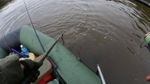 🎣ХОРОШАЯ ТЕМА🎣#fishing #туризм#природа#ловля#рыбалка #щука#ловлящуки##ночевка#Чулым#река#спиннинг